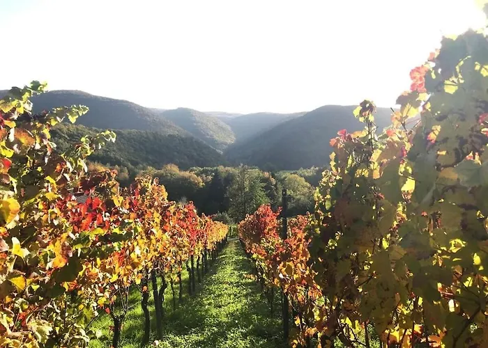 In With Sauna بيت للعطل بولاي